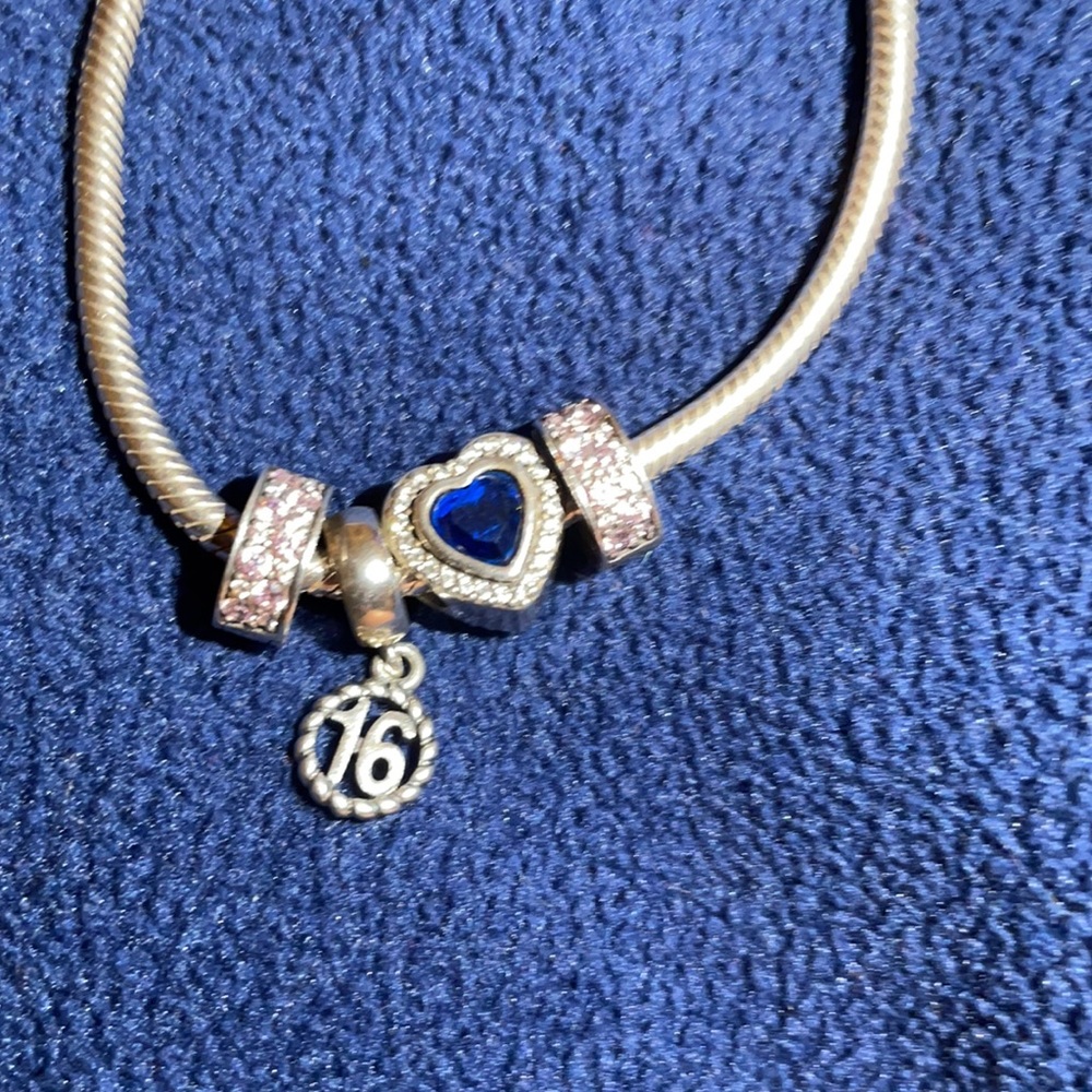 Adjustable Pandora Charm Bracelet with 4 charms!